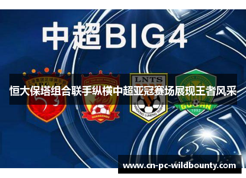 恒大保塔组合联手纵横中超亚冠赛场展现王者风采