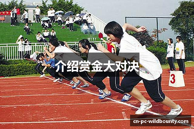 介绍赏金大对决